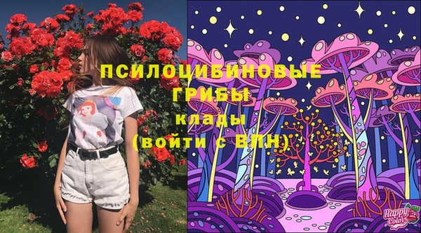 сатива Алексеевка