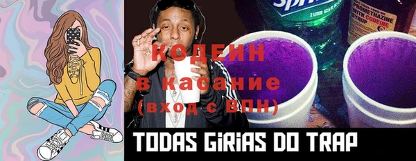 тгк Алзамай