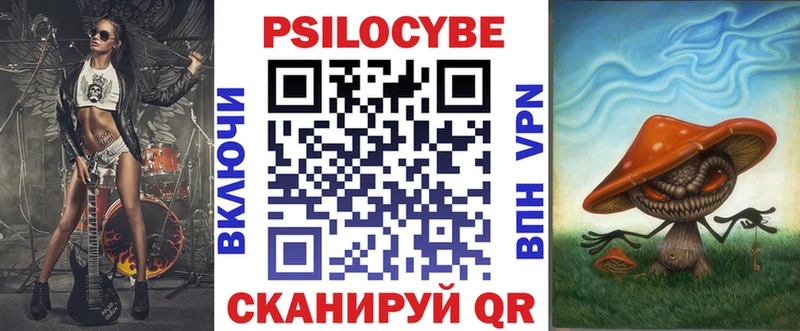 купить  сайты  Камешково  Псилоцибиновые грибы мицелий 