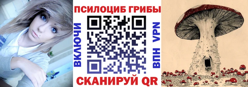 Псилоцибиновые грибы прущие грибы Камешково